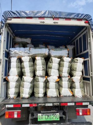 Прочный высокоуглеродный стальной проволокой карманной весны для дивана с индивидуальным размером и сжатой упаковки