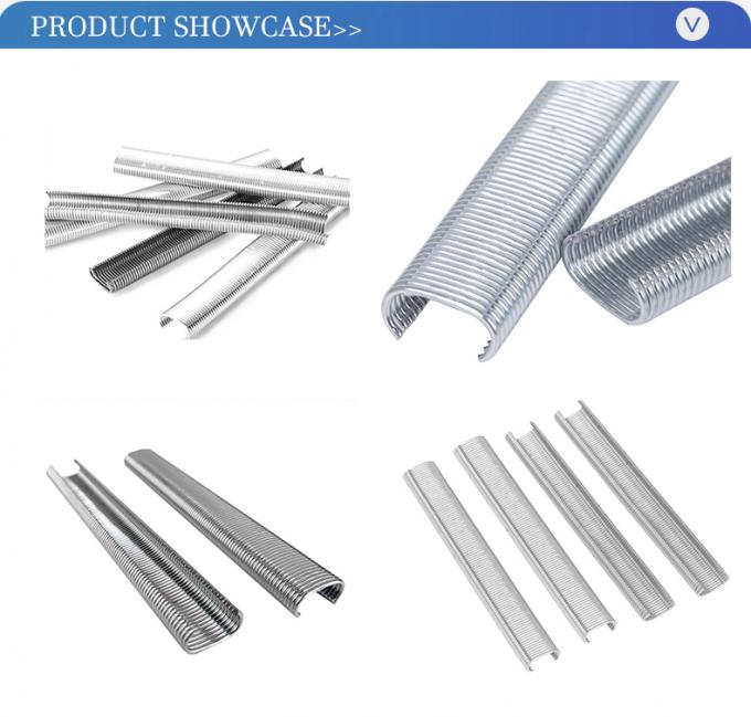 Бесплатные образцы Промышленные С кольцевые сцепки Производители Оцинкованные гвозди рамки аксессуары 5