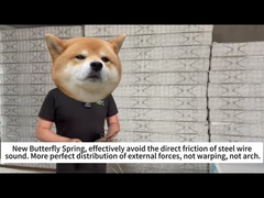 Летучая весна